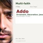 Addo Name Meaning and Details