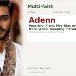 Adenn Name Meaning and Details