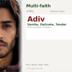 Adiv Name Meaning and Details