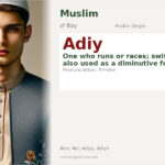 Adiy Name Meaning and Details