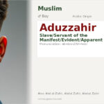 Aduzzahir Name Meaning and Details