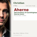 Aherne Name Meaning and Details