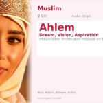 Ahlem Name Meaning and Details