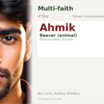 Ahmik Name Meaning and Details