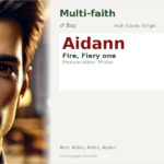 Aidann Name Meaning and Details