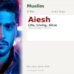Aiesh Name Meaning and Details