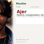 Ajer Name Meaning and Details