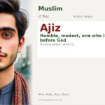 Ajiz Name Meaning and Details