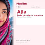 Ajla Name Meaning and Details