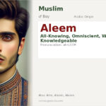 Aleem Name Meaning and Details