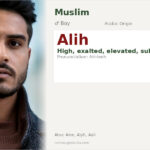 Alih Name Meaning and Details