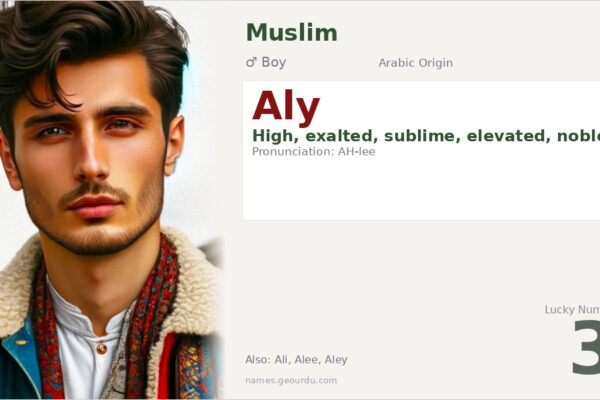 Aly Name Meaning — Arabic Origin, Boy Name & Details (2025)