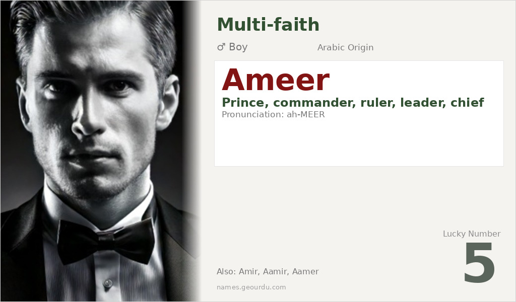 Ameer Name Meaning and Details