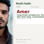 Amer Name Meaning and Details
