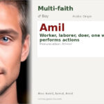 Amil Name Meaning and Details
