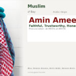 Amin Ameen Name Meaning and Details