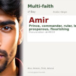Amir Name Meaning and Details