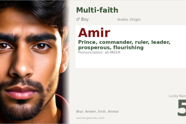 Amir Name Meaning — Arabic Origin, Prince & Leadership (2025)