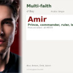 Amir Name Meaning and Details