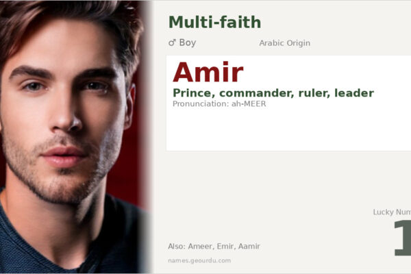 Amir Name Meaning — Arabic Origin, Prince & Leadership (2025)