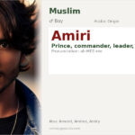 Amiri Name Meaning and Details