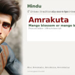 Amrakuta Name Meaning and Details