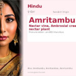 Amritambu Name Meaning and Details
