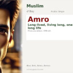 Amro Name Meaning and Details