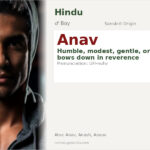 Anav Name Meaning and Details