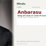 Anbarasu Name Meaning and Details