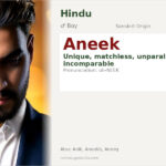 Aneek Name Meaning and Details