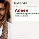 Aneen Name Meaning and Details