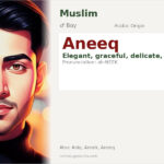Aneeq Name Meaning and Details