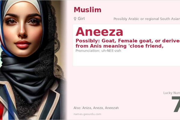 Aneeza Name Meaning — Origin, Gender & Details (2025)