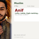 Anif Name Meaning and Details