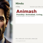 Animash Name Meaning and Details
