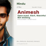 Animesh Name Meaning and Details
