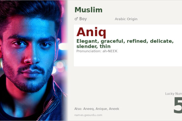 Aniq Name Meaning — Arabic Origin, Boy Name & Details (2025)