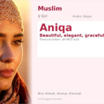 Aniqa Name Meaning and Details