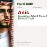 Anis Name Meaning and Details
