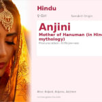 Anjini Name Meaning and Details