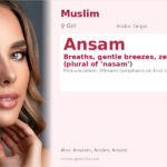 Ansam Name Meaning and Details