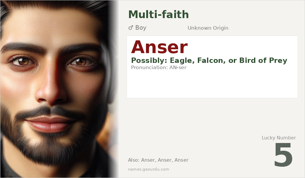 Anser Name Meaning and Details