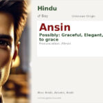 Ansin Name Meaning and Details