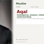 Aqal Name Meaning and Details