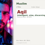 Aqil Name Meaning and Details