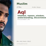 Aql Name Meaning and Details