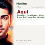 Aqul Name Meaning and Details