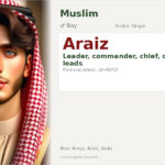 Araiz Name Meaning and Details