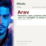 Arav Name Meaning and Details